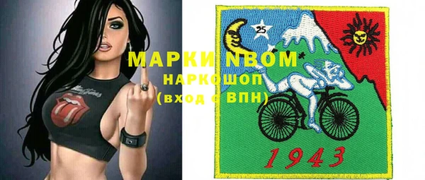 хмурый Алексин